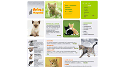 Desktop Screenshot of gatosymascotas.com