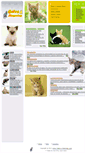Mobile Screenshot of gatosymascotas.com