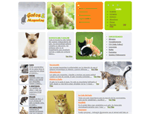 Tablet Screenshot of gatosymascotas.com